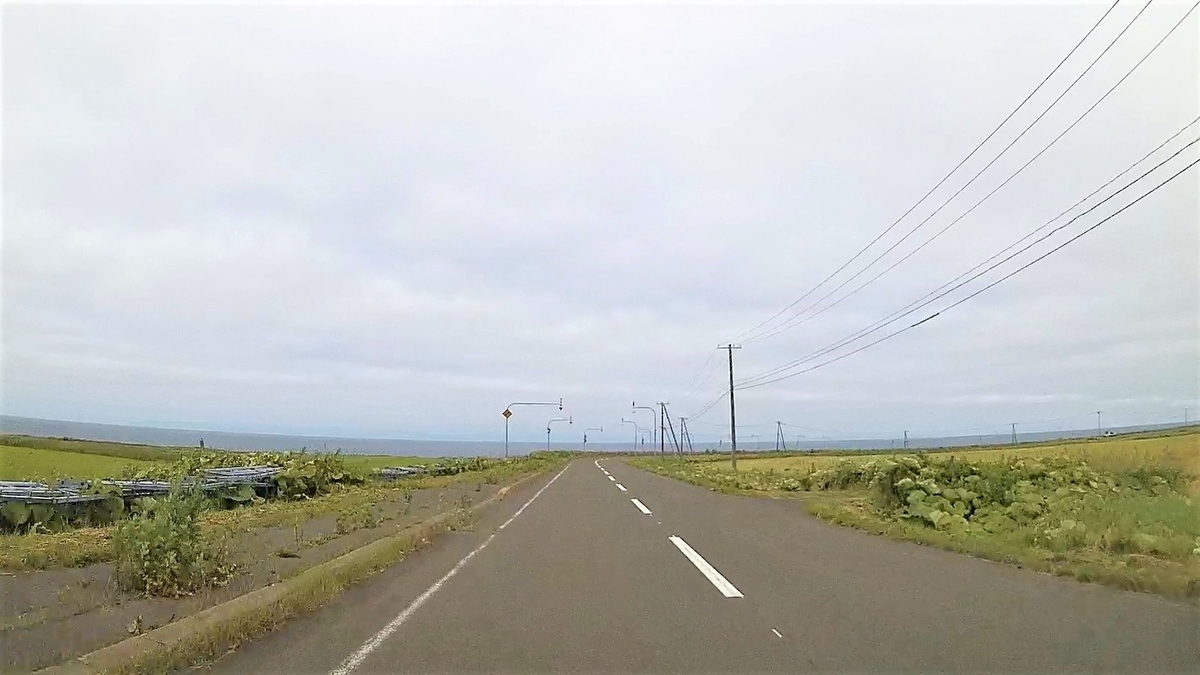 f:id:koulog:20201020115114j:plain