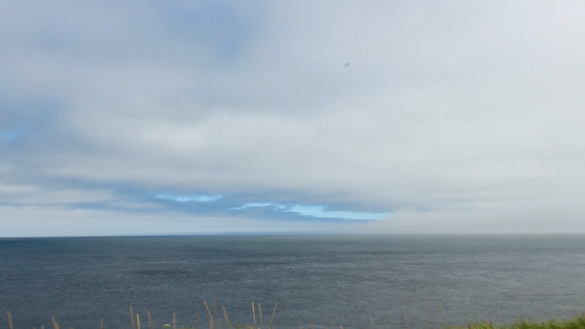 f:id:koulog:20201020134307j:plain