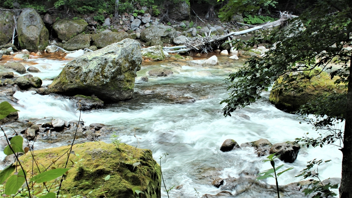 f:id:koulog:20201107064022j:plain f:id:koulog:20201107064022j:plain