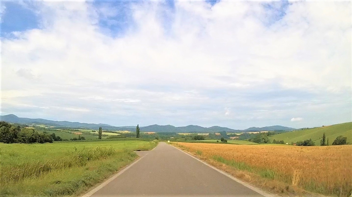 f:id:koulog:20201109140859j:plain