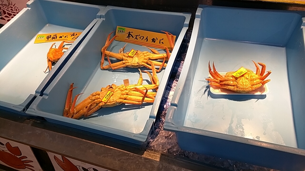 【子供とおでかけ】新湊きときと市場と海王丸パークのアスレチック toyamalife’s blog