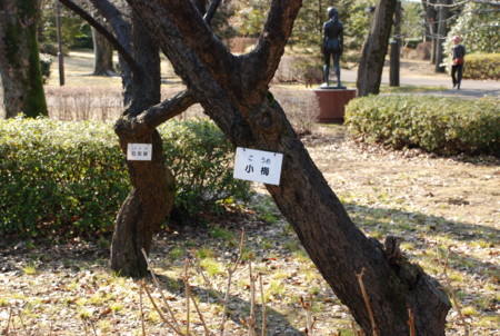 f:id:koume-life:20060111043122j:image f:id:koume-life:20060111043122j:image