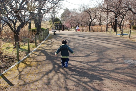 f:id:koume-life:20060111045456j:image f:id:koume-life:20060111045456j:image