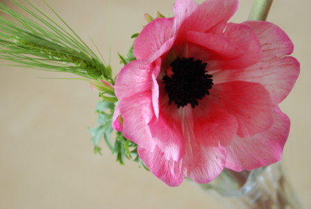f:id:koume-life:20060120050309j:image f:id:koume-life:20060120050309j:image