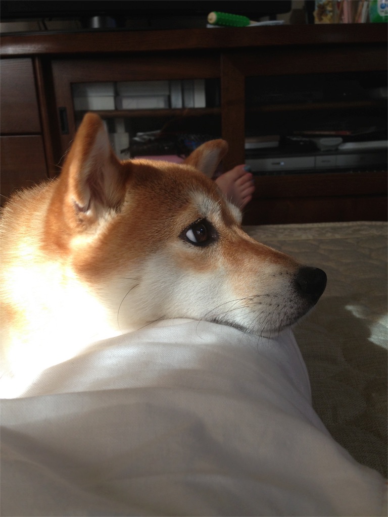f:id:koumeee777:20190525153740j:image f:id:koumeee777:20190525153740j:image