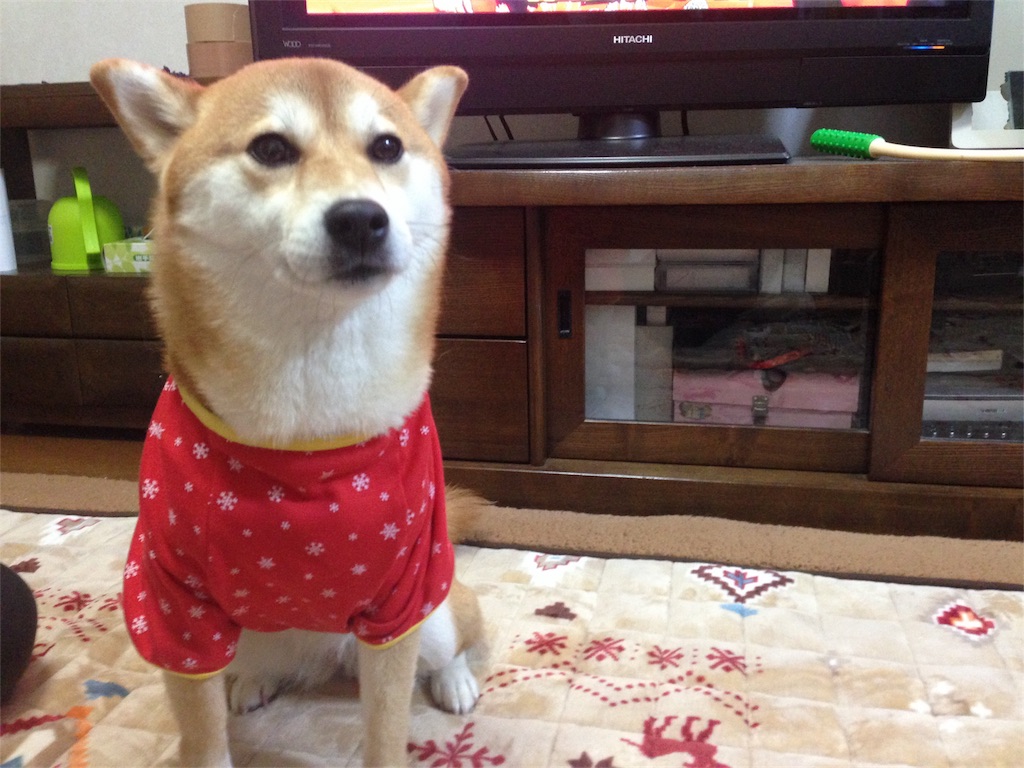 f:id:koumeee777:20190525153802j:image f:id:koumeee777:20190525153802j:image