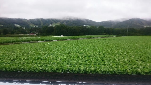 f:id:koumemasakazu:20180911172921j:image f:id:koumemasakazu:20180911172921j:image