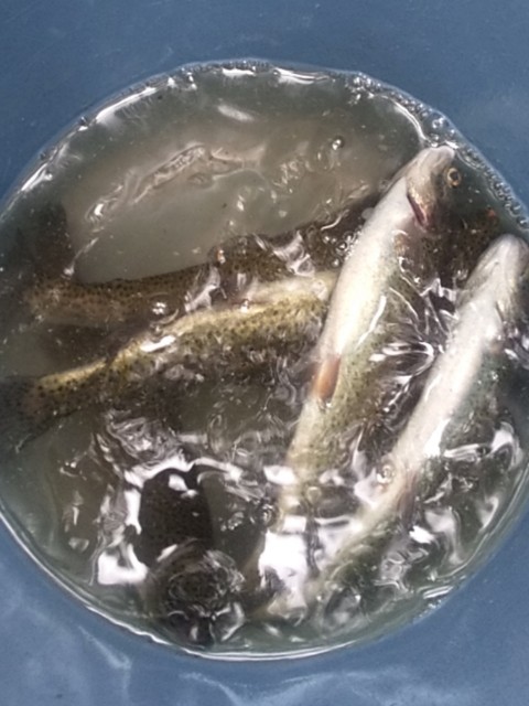 f:id:koumemasakazu:20211001223256j:image