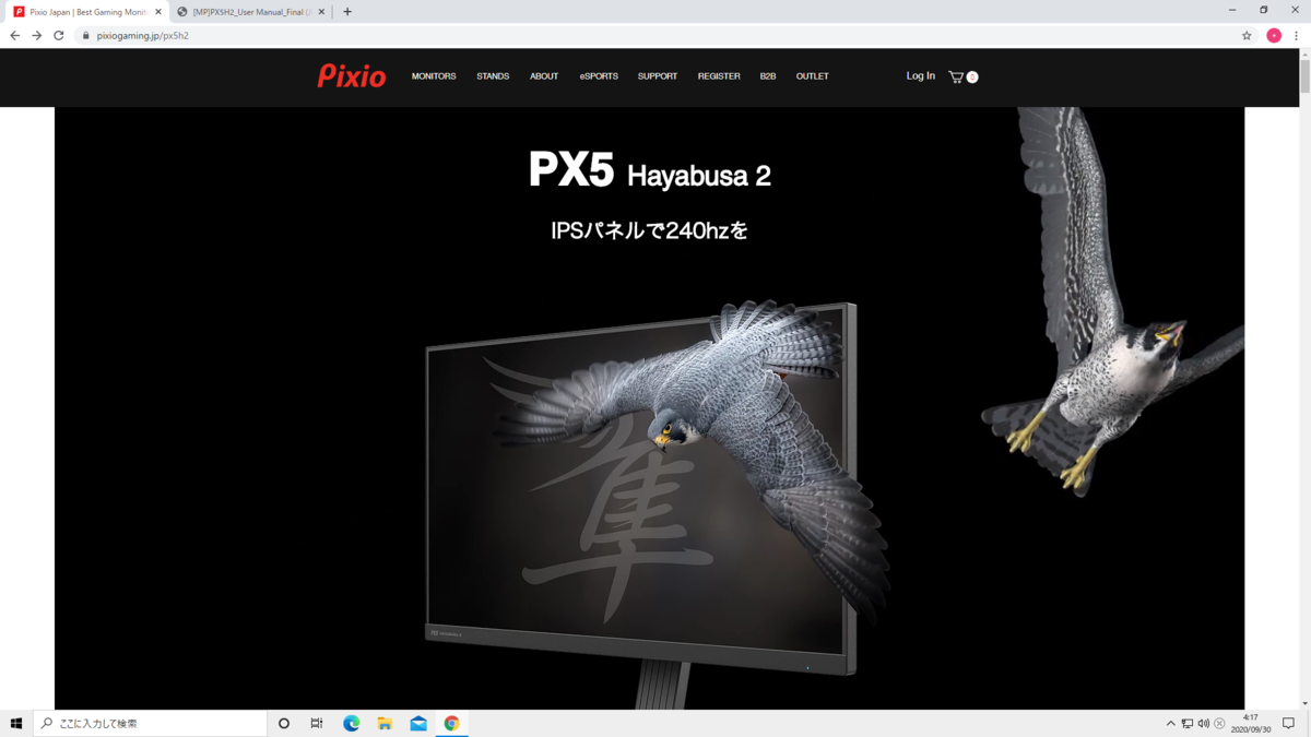 人気ゲーミングモニターである、『Pixio PX5 Hayabusa 2』の設定