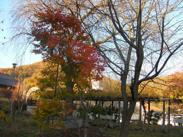 20111104071450