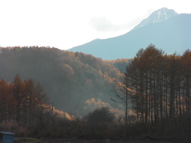 f:id:koumichristchurch:20121110145006j:image