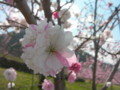20140414104933