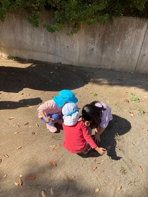f:id:koumyougenki:20211122101514j:plain