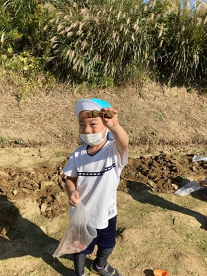 f:id:koumyougenki:20211122105440j:plain