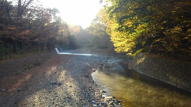 f:id:kouri50:20201116143508j:plain