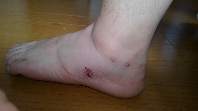 f:id:kouri50:20220701153313j:image