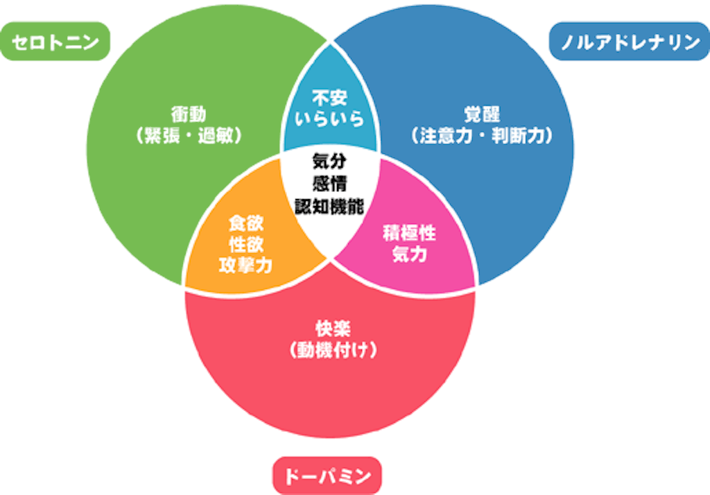f:id:koururai:20170704030048g:image f:id:koururai:20170704030048g:image