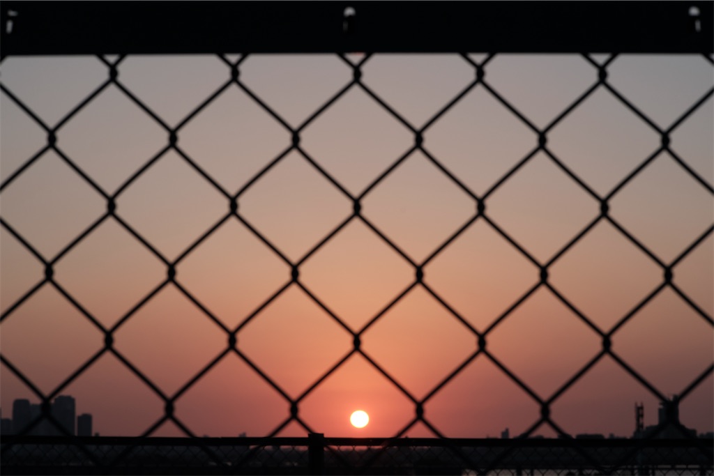 f:id:kousa_nd:20260529200426j:image f:id:kousa_nd:20260529200426j:image