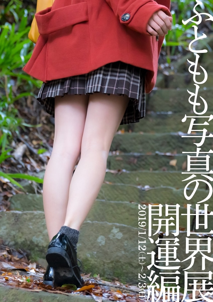 f:id:kousakutarou:20190204172935j:plain