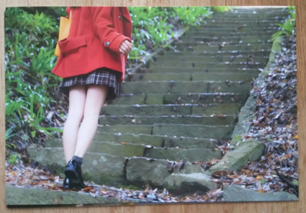 f:id:kousakutarou:20190204175048j:plain