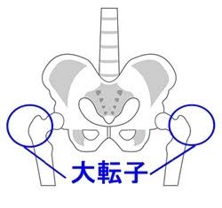 f:id:kouseistaffblog:20171219102141p:plain