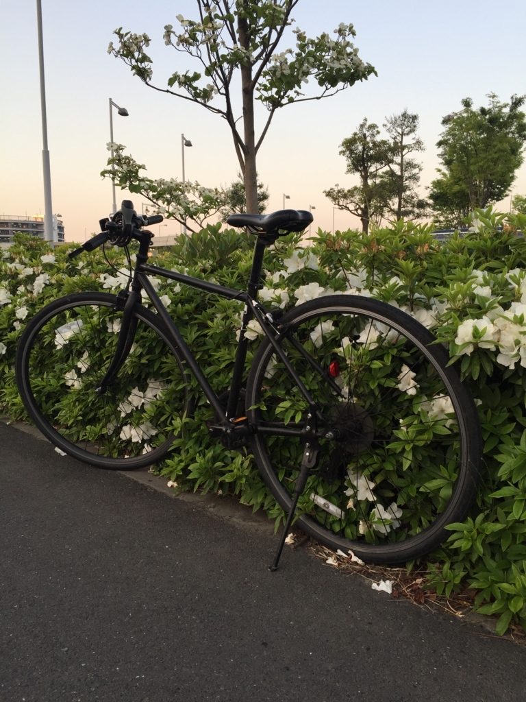 f:id:kousotsujapan:20180426013548j:plain f:id:kousotsujapan:20180426013548j:plain