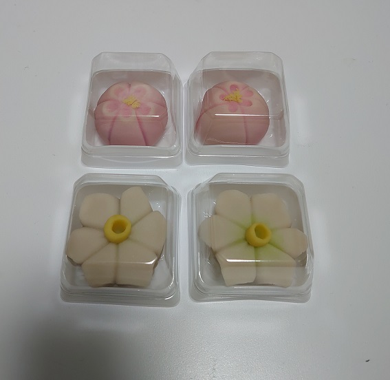 f:id:kousui5724:20210131232849j:plain