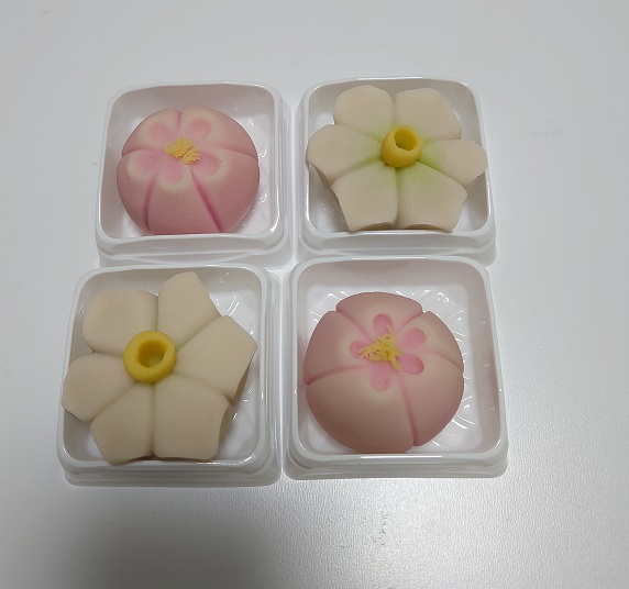 f:id:kousui5724:20210131233104j:plain