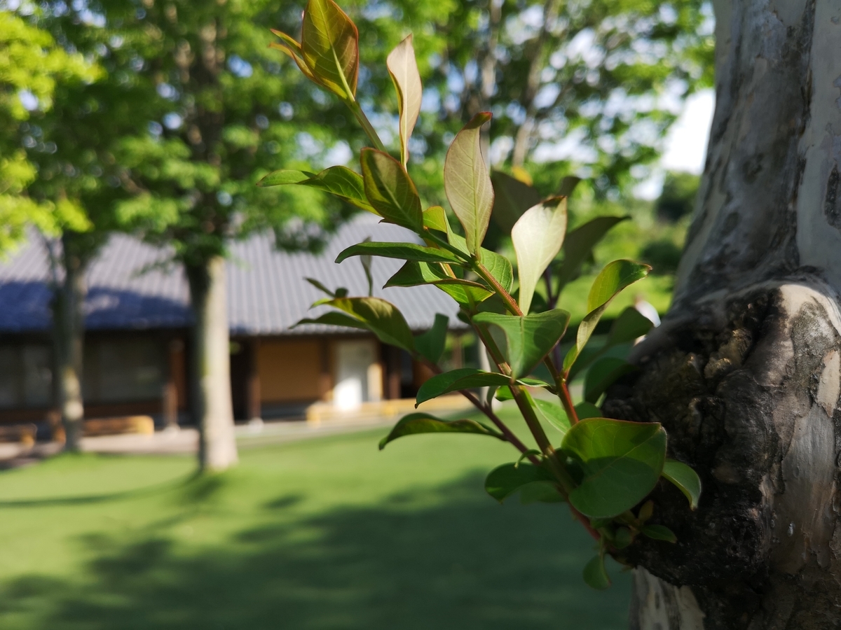 f:id:kousuke-works:20190811220715j:plain f:id:kousuke-works:20190811220715j:plain