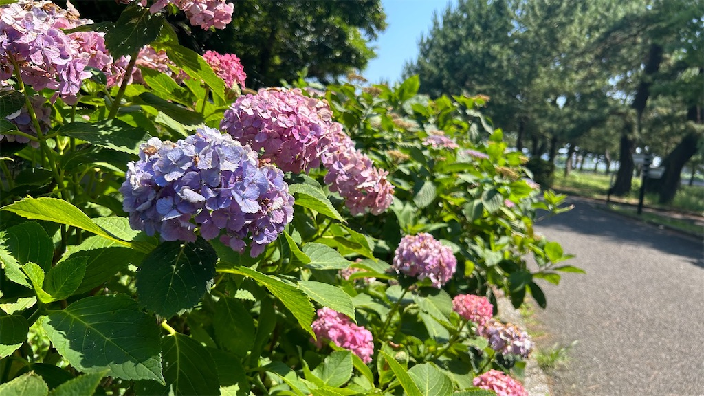 f:id:kouta4649:20251214204402j:image