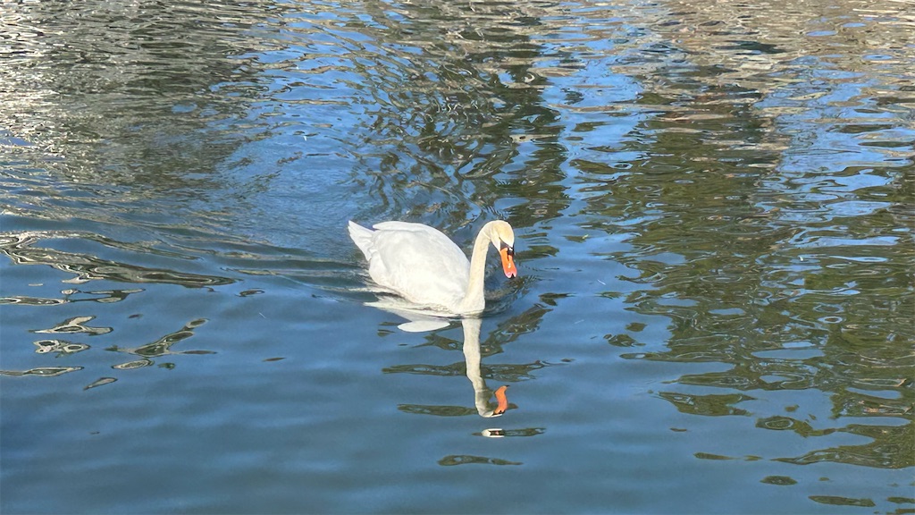 f:id:kouta4649:20251229125258j:image