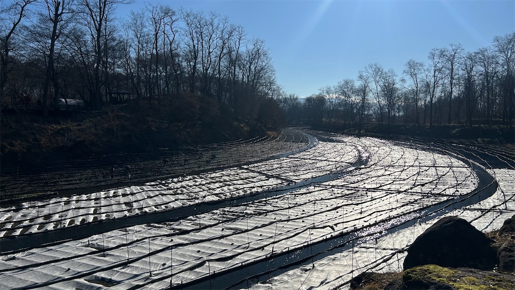 f:id:kouta4649:20260117132438j:image