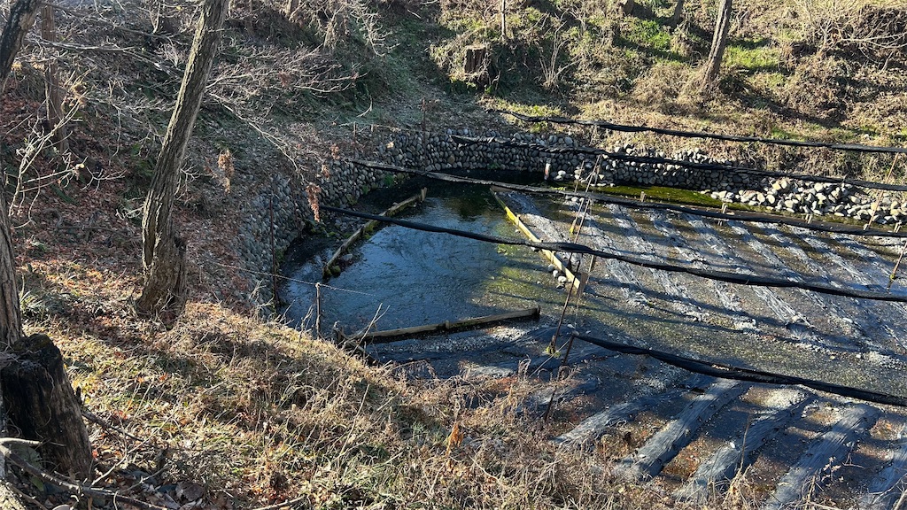 f:id:kouta4649:20260117132507j:image