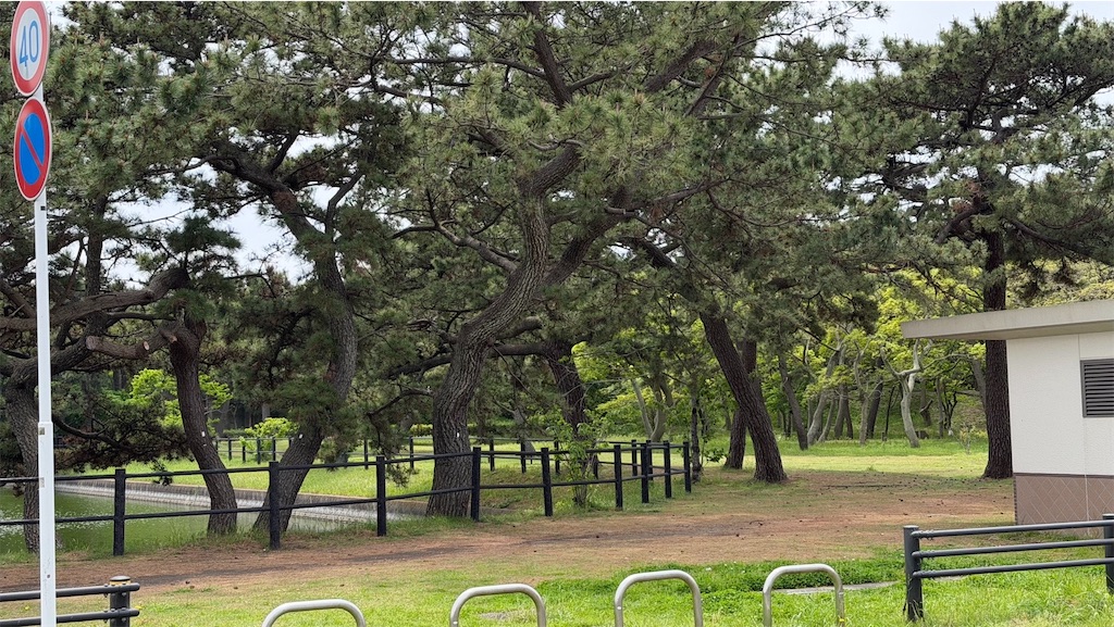 f:id:kouta4649:20260507222830j:image f:id:kouta4649:20260507222830j:image