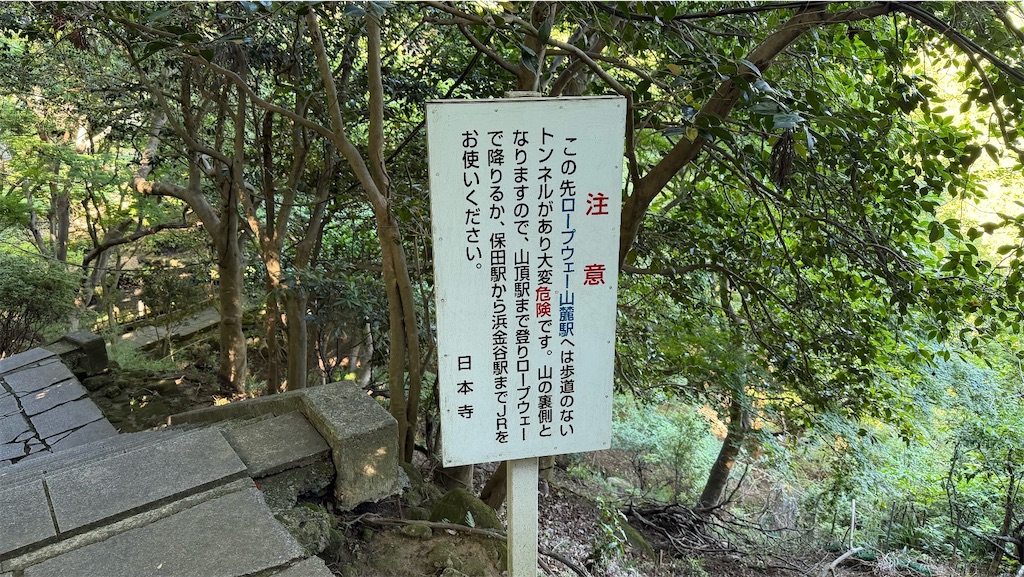 f:id:kouta4649:20260802223859j:image f:id:kouta4649:20260802223859j:image