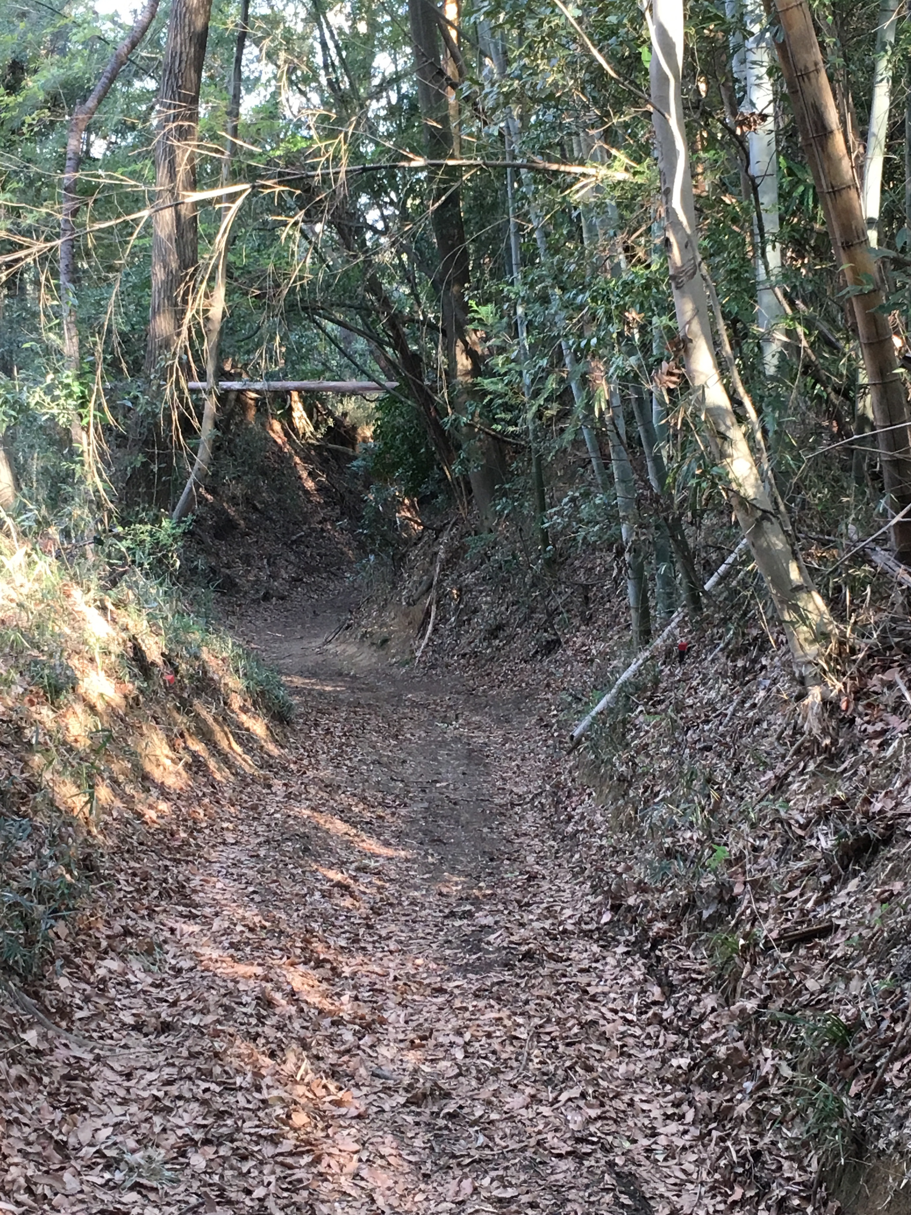f:id:kouta_west_tokyo:20190413231214j:image