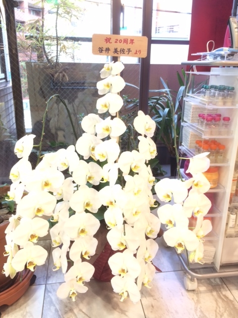 f:id:koutada:20170414133430j:plain