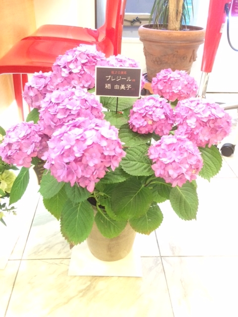f:id:koutada:20170414133506j:plain