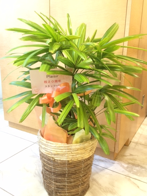 f:id:koutada:20170414133519j:plain
