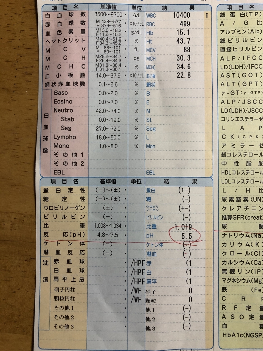 f:id:koutaro-t:20201117162939j:plain