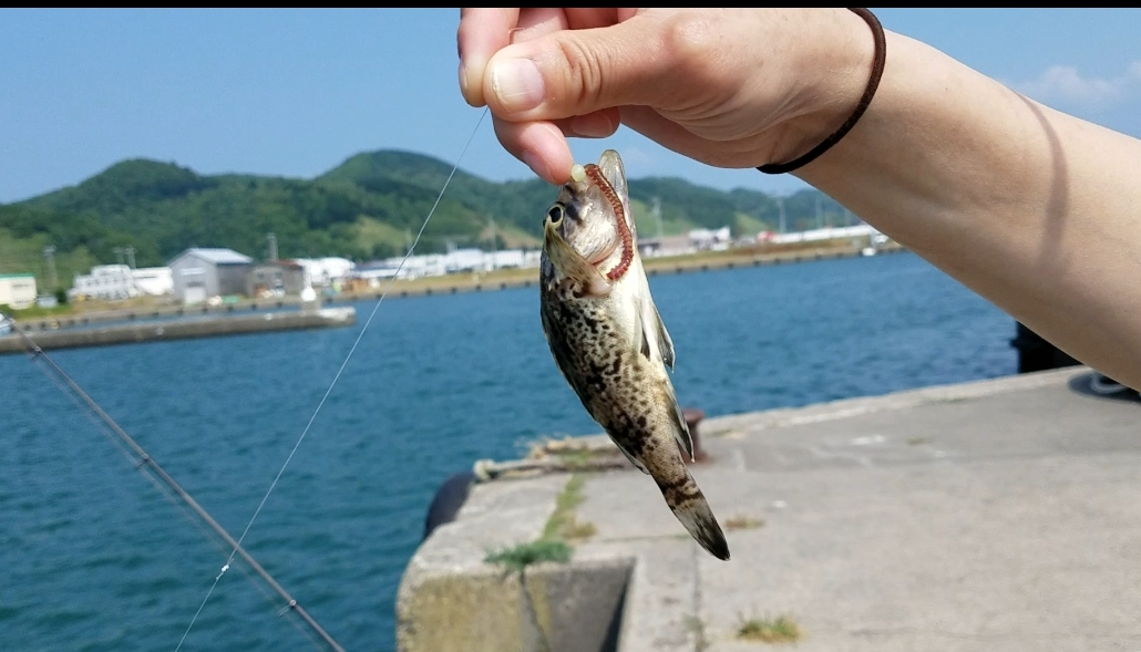 f:id:koutaturi:20210730135251j:plain