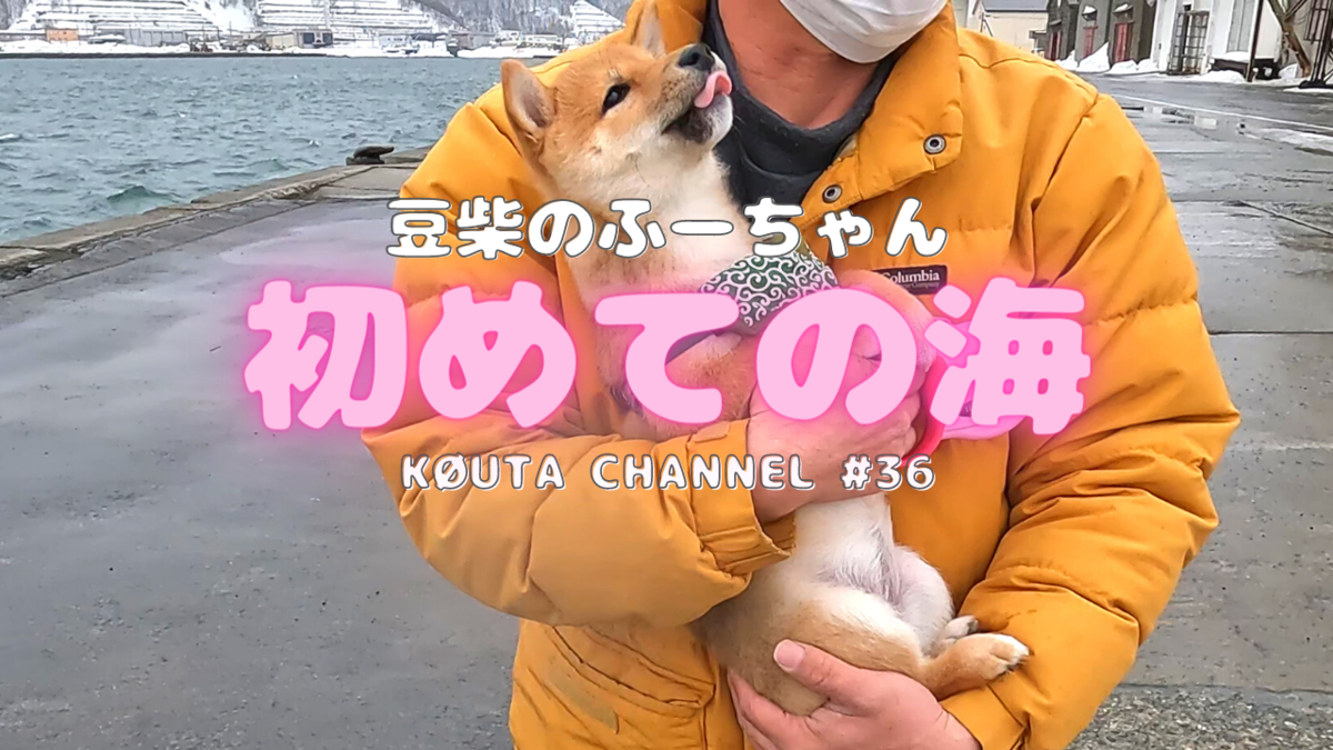 f:id:koutaturi:20220320070158p:plain