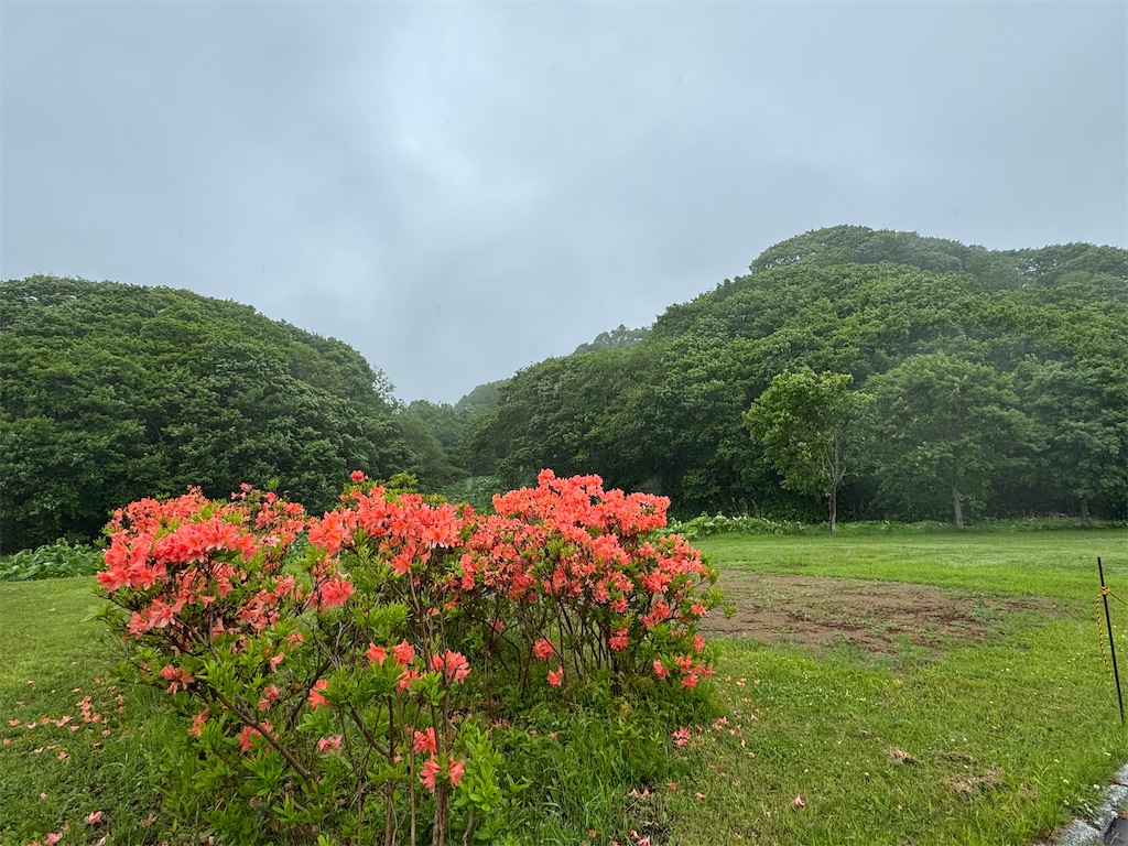 f:id:kouwadou2011:20250620174239j:image