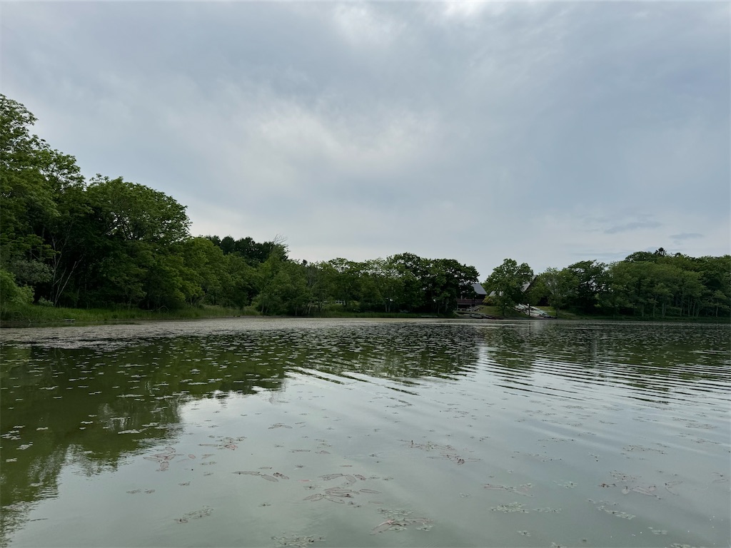 f:id:kouwadou2011:20250621161751j:image