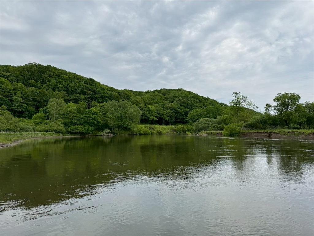 f:id:kouwadou2011:20250621162151j:image