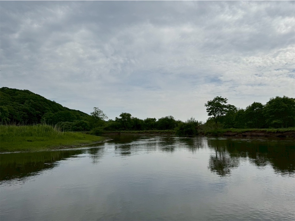f:id:kouwadou2011:20250621162157j:image