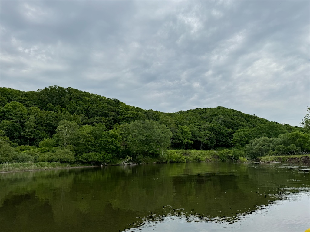 f:id:kouwadou2011:20250621162402j:image