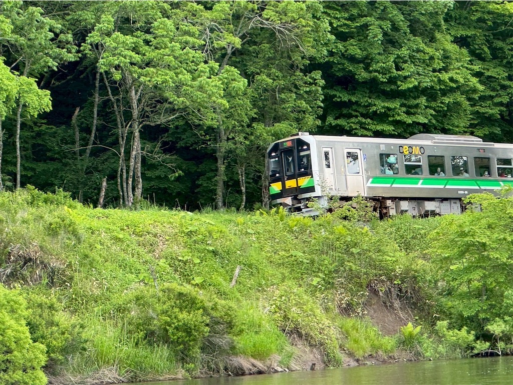 f:id:kouwadou2011:20250621164111j:image