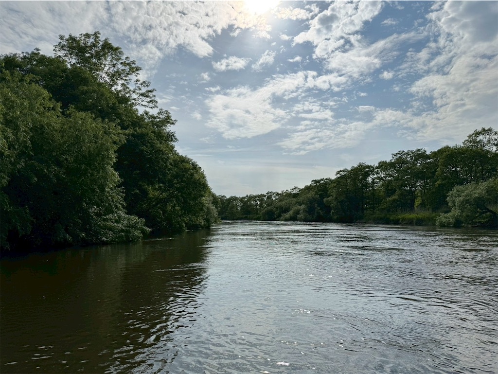 f:id:kouwadou2011:20250621164740j:image