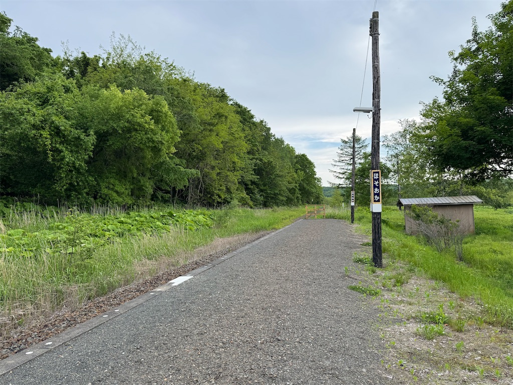 f:id:kouwadou2011:20250621195149j:image
